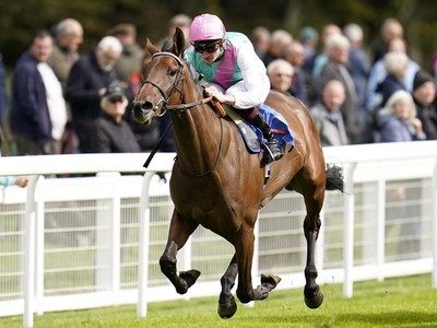 Bluestocking And Look De Vega Set For Arc Showdown Image 1