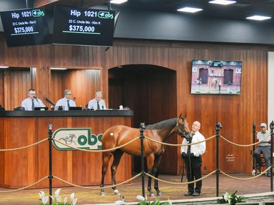 OBS October Yearling Sale Moved Forward Due To Storm