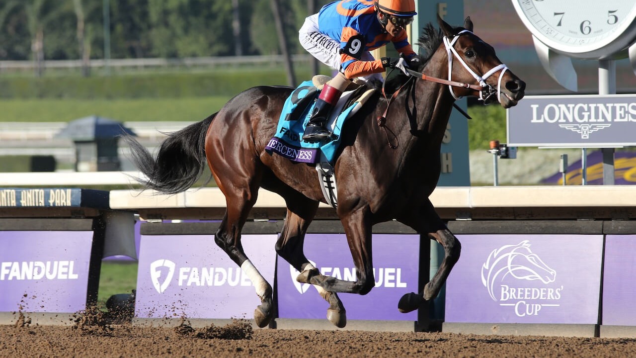 Fierceness And Subsanador Ready For Breeders' Cup Clash Image 1