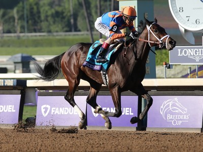 Fierceness And Subsanador Ready For Breeders' Cup Clash Image 1