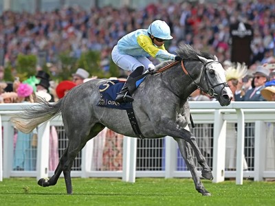 Charyn Poised For Final Ascot Appearance Image 1