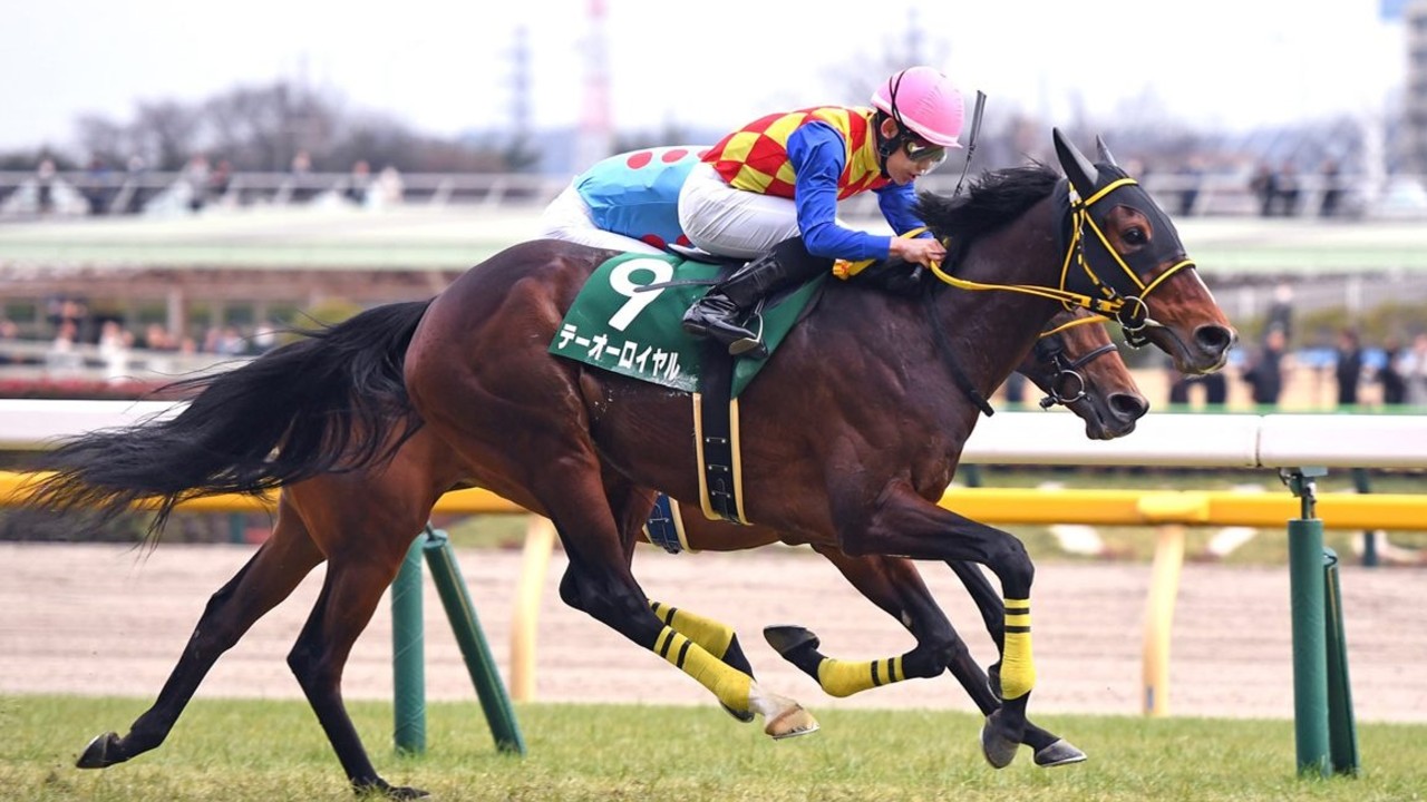 Warp Speed Eyes Melbourne Cup Glory Image 1