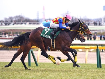 Warp Speed Eyes Melbourne Cup Glory Image 1