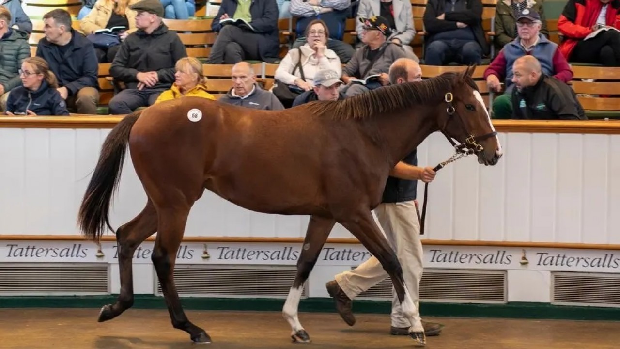 Frankel Filly Tops Tattersalls At US$5.8m Image 1