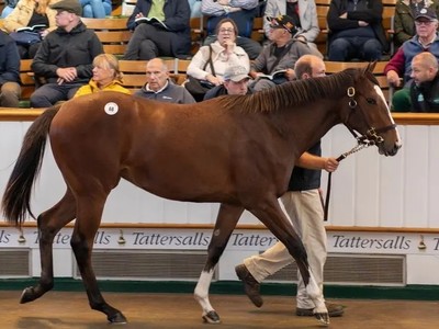 Frankel Filly Tops Tattersalls At US$5.8m Image 1