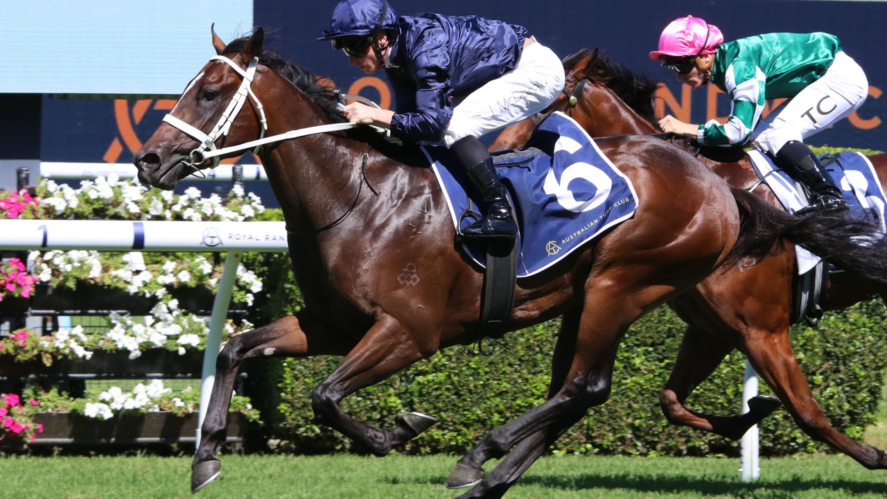 Coolmore's Gr.1 Everest Choice: Switzerland or Storm Boy? Image 1