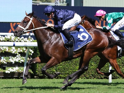 Coolmore's Gr.1 Everest Choice: Switzerland or Storm Boy? Image 1