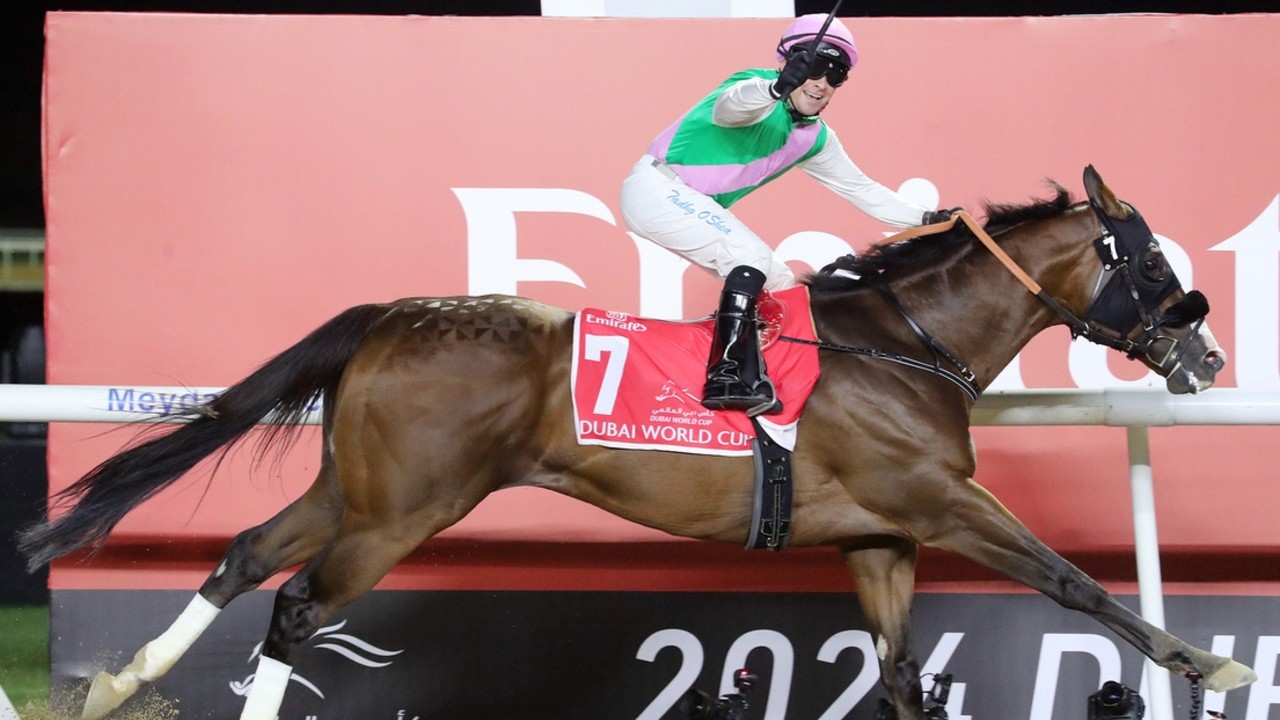 UAE Racing Season Set For Thrilling New Chapter Image 1