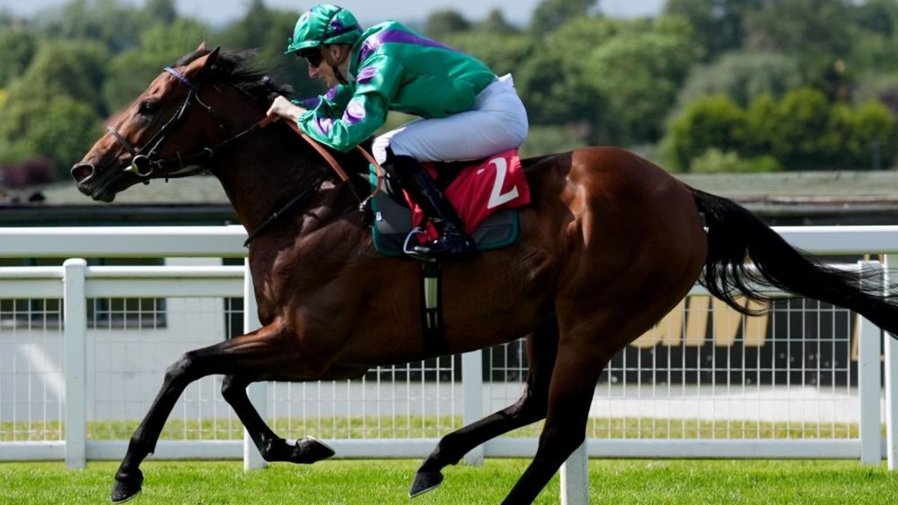 Prague Aims For Royal Ascot Glory Against Charyn Image 1