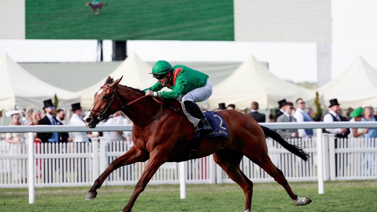 Economics And Calandagan Remain On Course For Ascot Clash Image 2