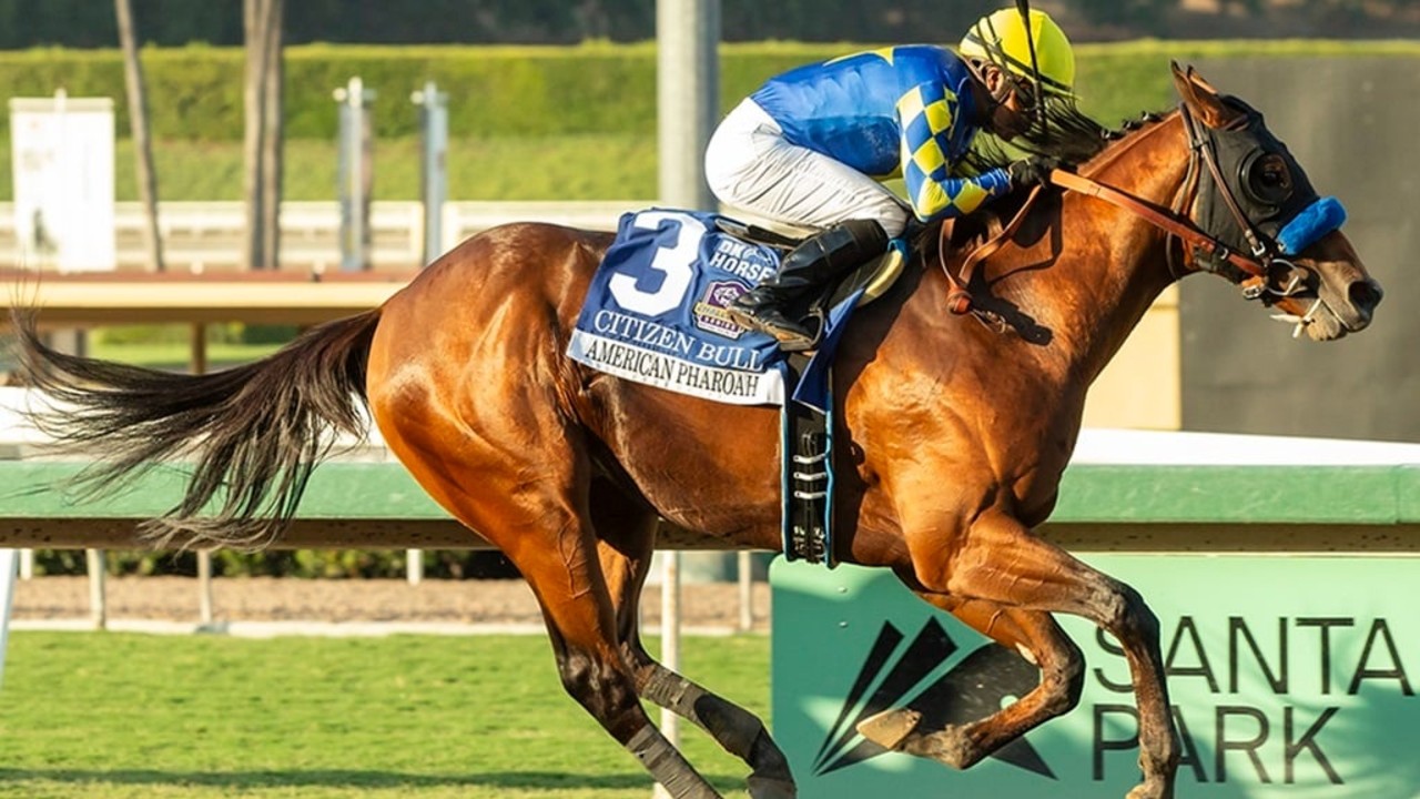 Into Mischief Reigns Supreme At Spendthrift Farm Image 1