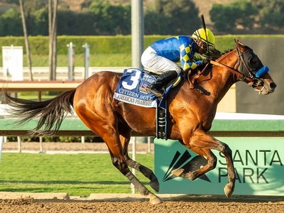 Into Mischief Reigns Supreme At Spendthrift Farm Image 1