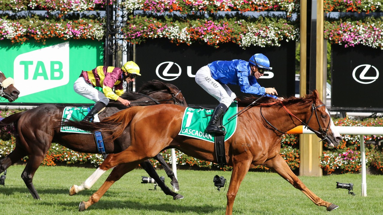 Olympic Rider Teams Up With Four-Time Gr.1 Winner Image 1