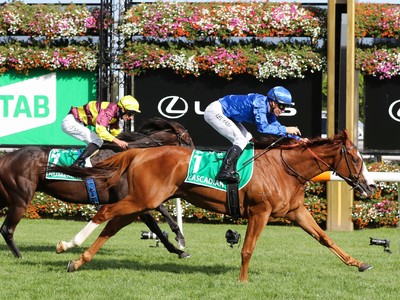 Olympic Rider Teams Up With Four-Time Gr.1 Winner Image 1