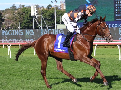 Silver Eagle 2024: Tycoon Opts For Sydney Stakes