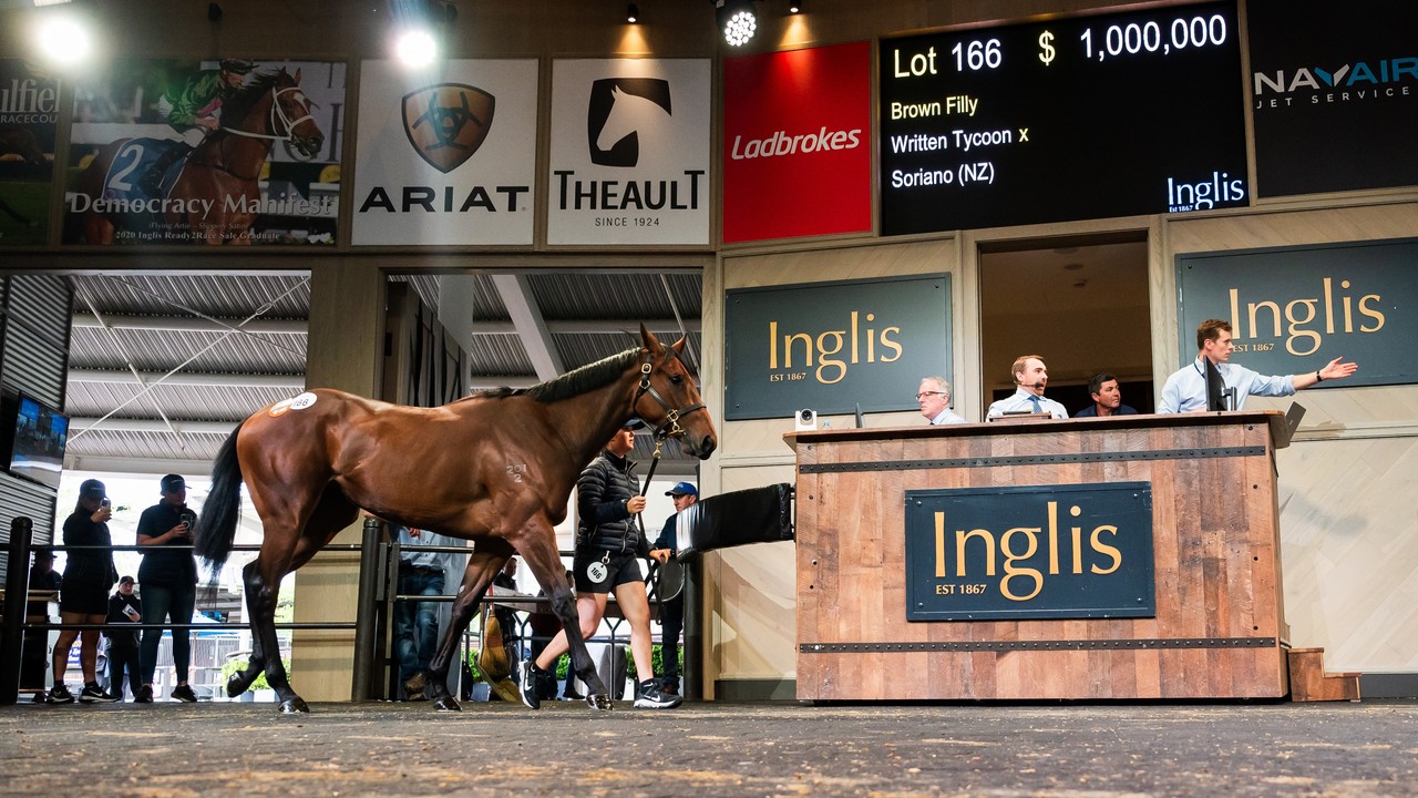 Record-Breaking Day At Inglis Ready2Race Sale Image 1