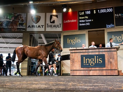 Record-Breaking Day At Inglis Ready2Race Sale Image 1