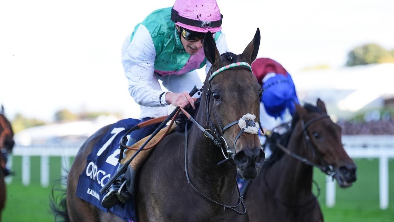 Anmaat Triumphs In Thrilling QIPCO Champion Stakes Image 1