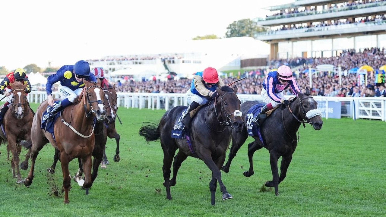 Anmaat Triumphs In Thrilling QIPCO Champion Stakes Image 2