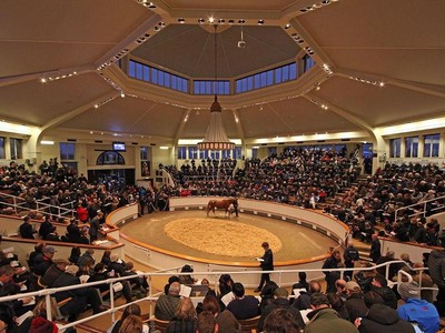 Record-Breaking Tattersalls October Sale Defies Expectations Image 1