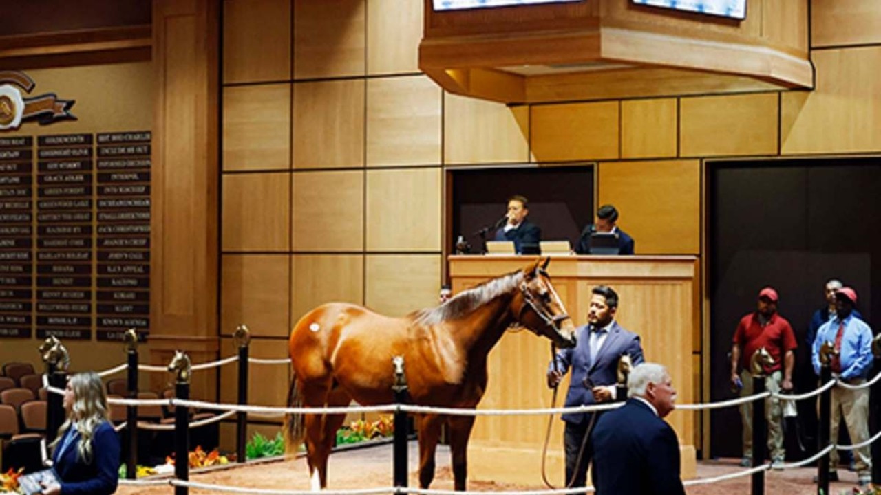 Strong Trade Continues at Fasig-Tipton October Sale Image 1