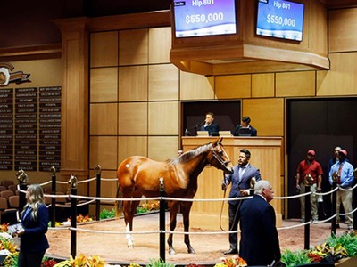 Strong Trade Continues at Fasig-Tipton October Sale Image 1