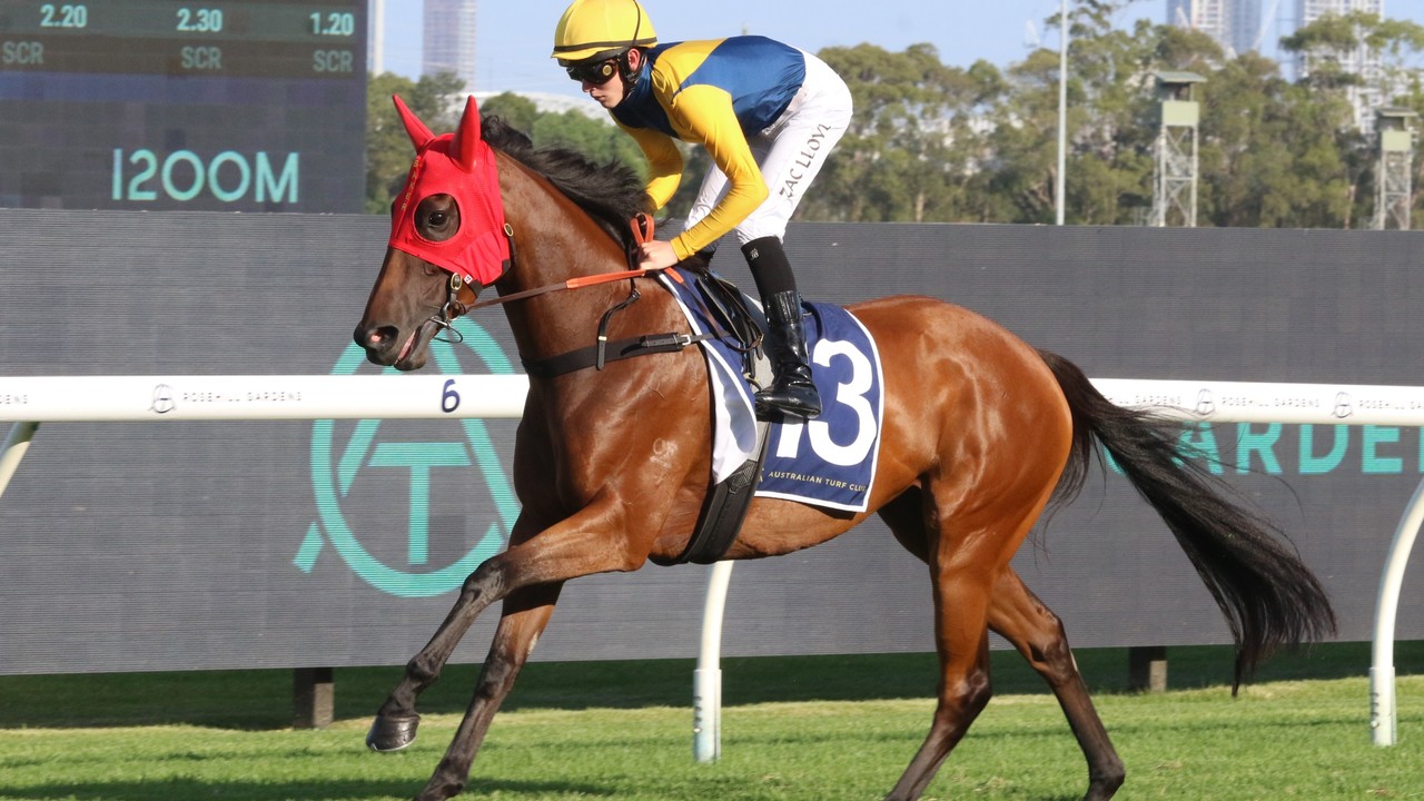 Golden Eagle Test Attracts Global Four-Year-Olds Image 1