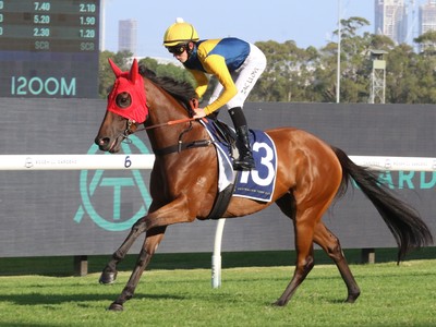 Golden Eagle Test Attracts Global Four-Year-Olds Image 1