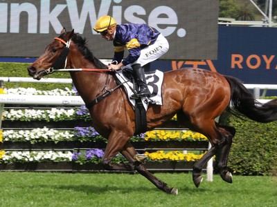 Spring Champion Stakes Day Sparkles At Randwick Image 1