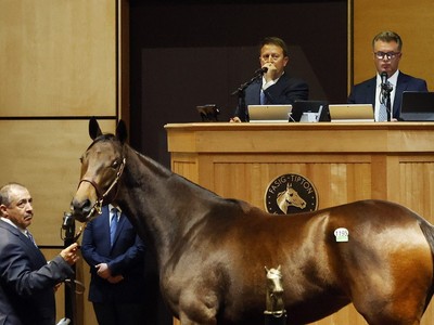 Curlin Filly Leads Fasig-Tipton October Day Three Image 1