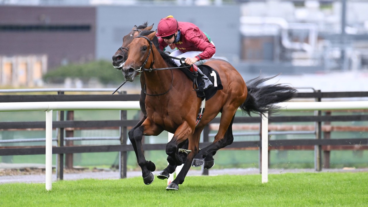 Buckaroo Storms To Glory In Underwood Stakes Image 1