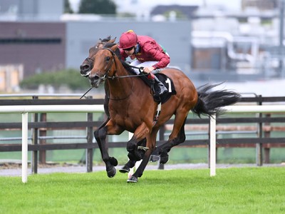 Buckaroo Storms To Glory In Underwood Stakes Image 1