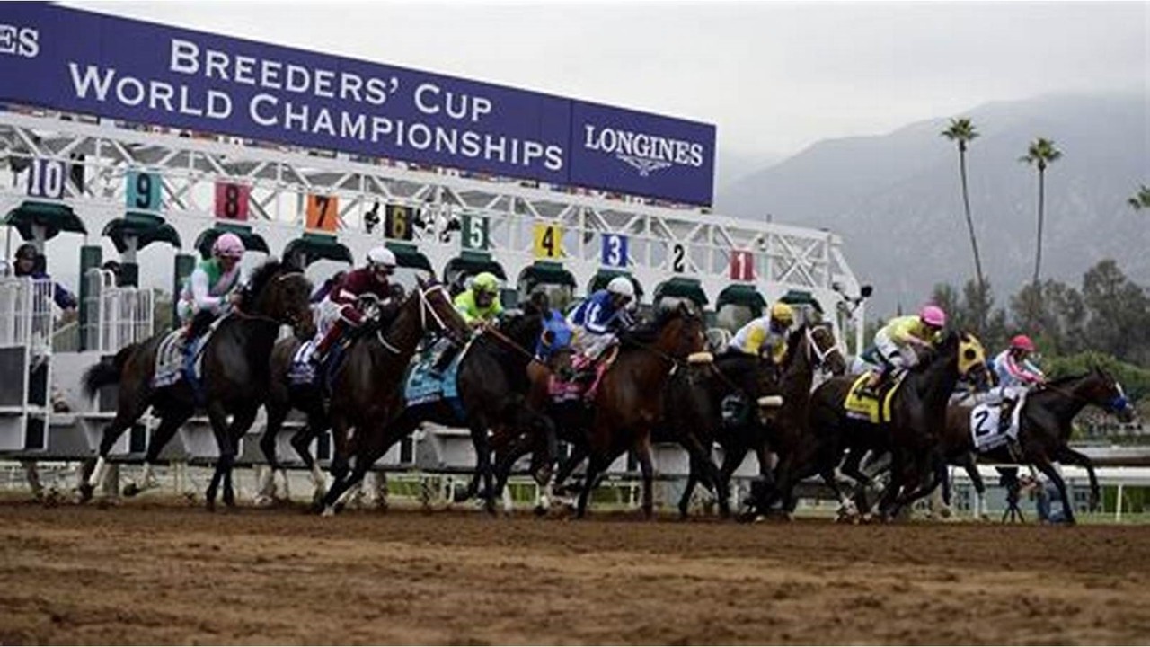 Global Stars Set For Breeder Cup Showdown Image 1