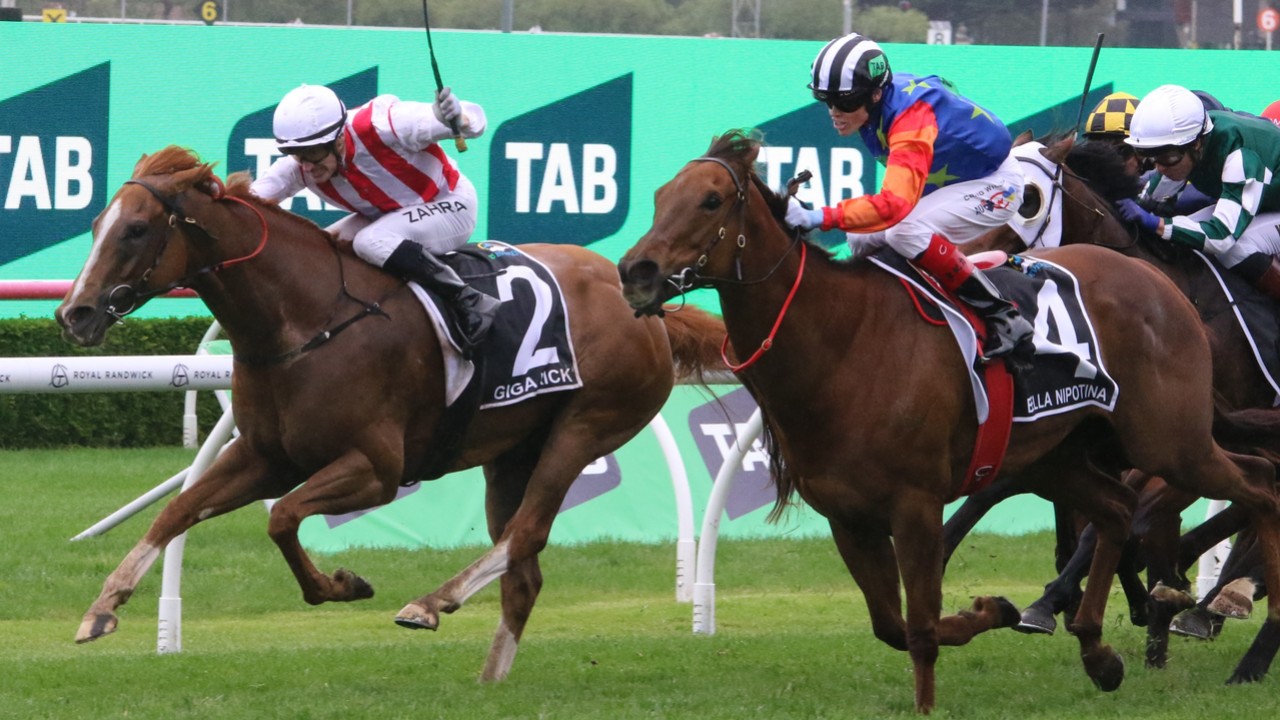 Giga Kick's Ready For The Gr.1 Everest 2025 Image 1