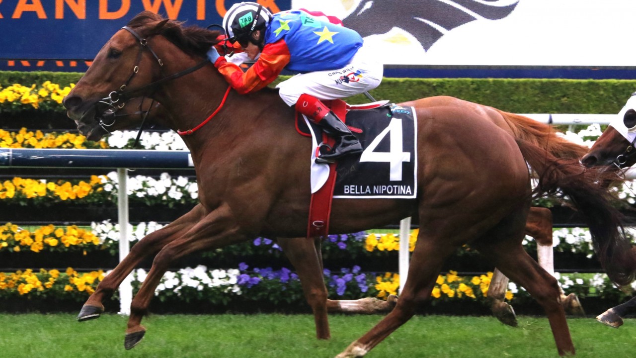 From Farm To Fame: Bella Nipotina's Historic Gr.1 Everest ... Image 2