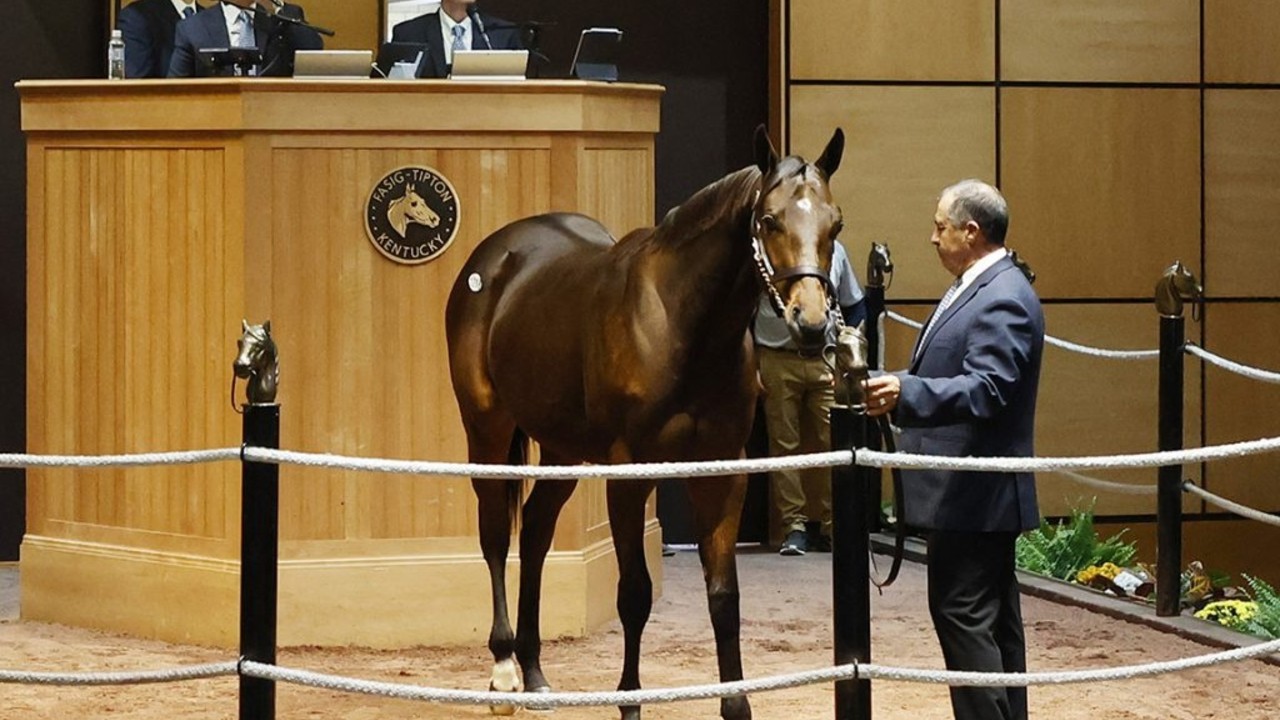 Fasig-Tipton October Breaks All-Time Records Image 1