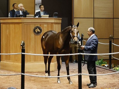 Fasig-Tipton October Breaks All-Time Records Image 1