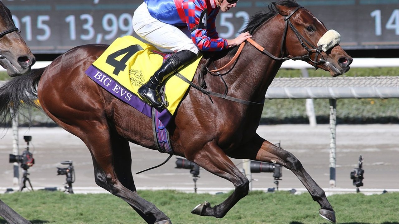 Breeders' Cup Stars Align For Del Mar Image 1