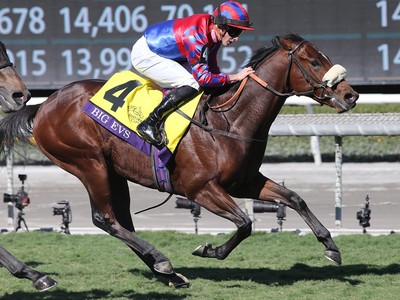 Breeders' Cup Stars Align For Del Mar Image 1