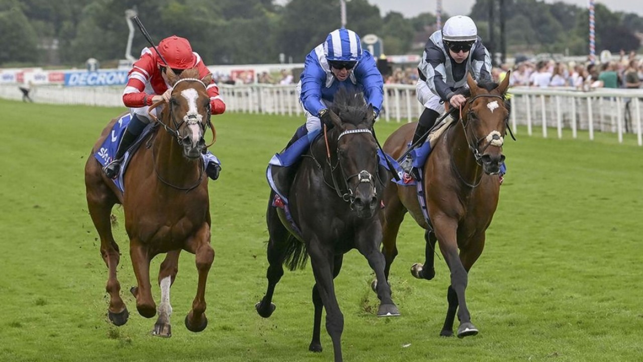 Resurgent Shadwell Target Bahrain Prize With Alflaila Image 1