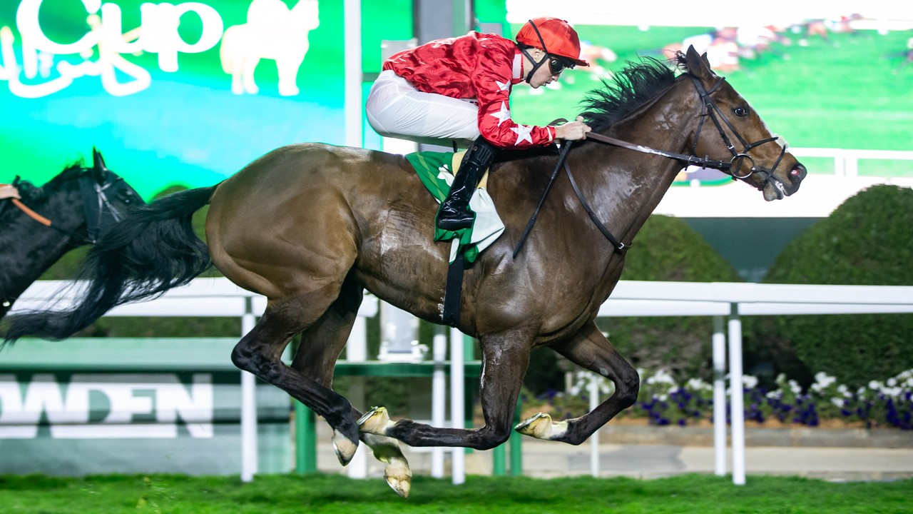 Spirit Dancer Aims To Defend Bahrain Crown: Fahey's Star ... Image 1