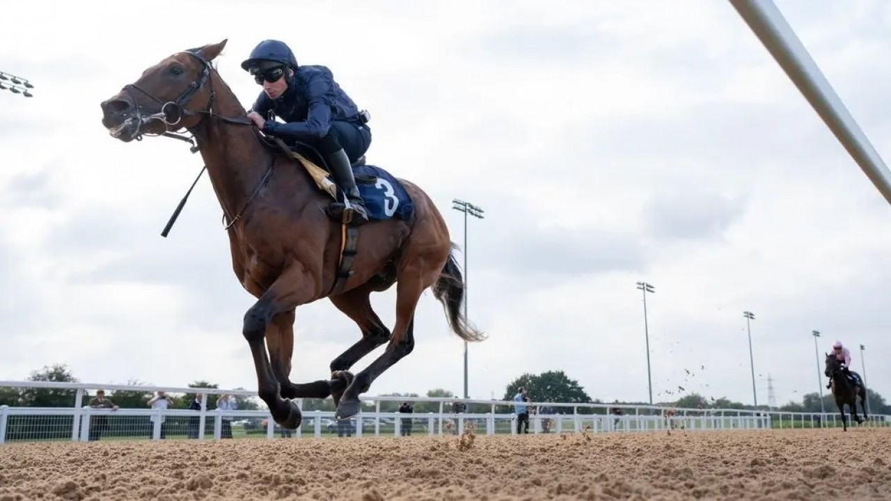 City Of Troy Takes First Steps At Del Mar Image 1