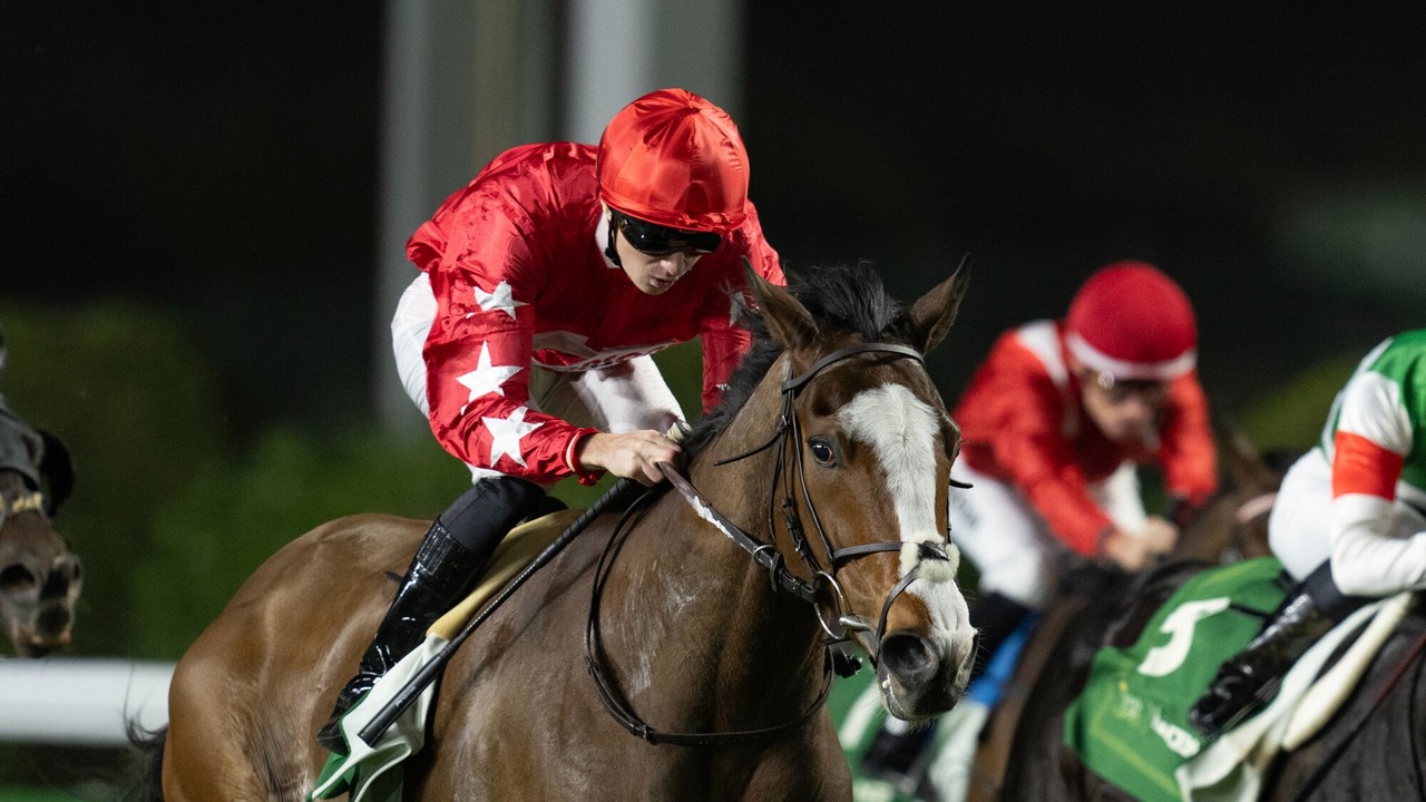 Bahrain International Trophy Set For Historic Rematch Image 1