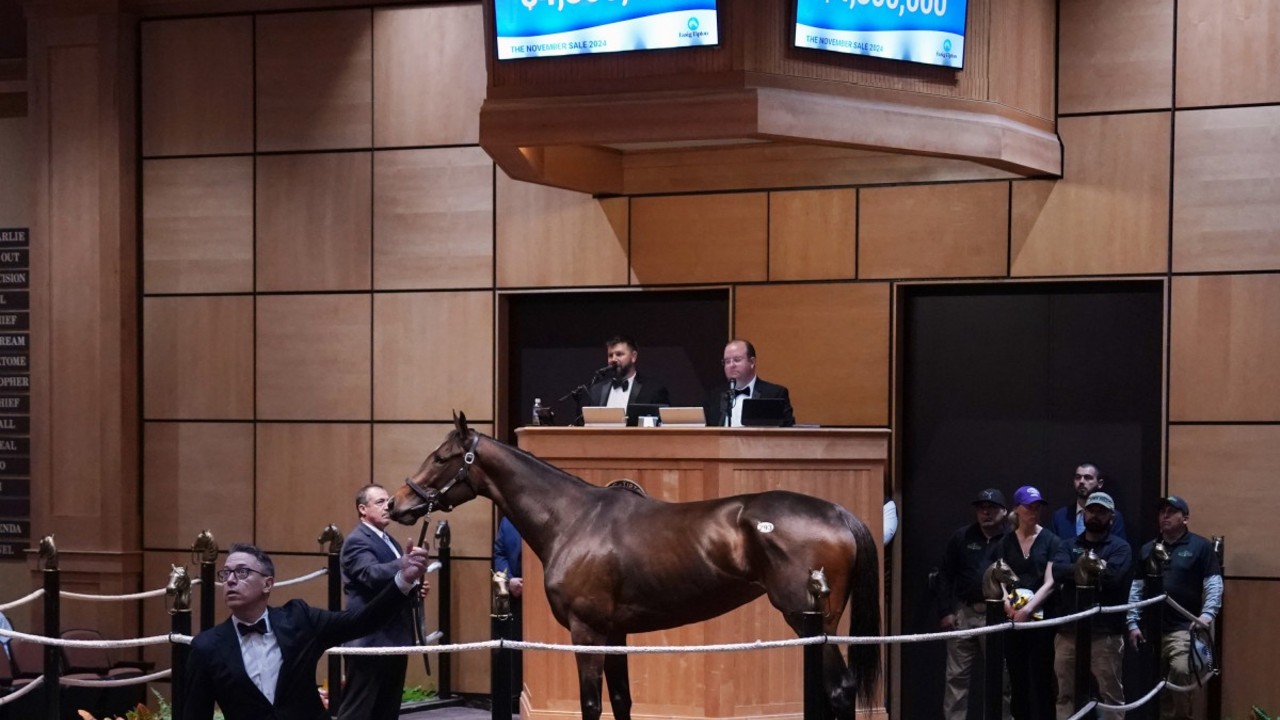 Canadian Champion Moira Joins Bayles For US$4.3m Image 1