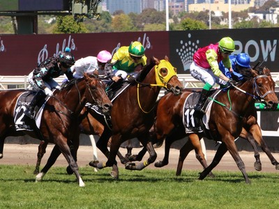 Knight's Choice Lands Stunning Melbourne Cup Shocker