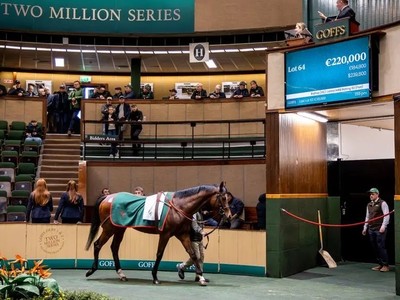 Goffs Autumn Hit Sale Scales New Heights