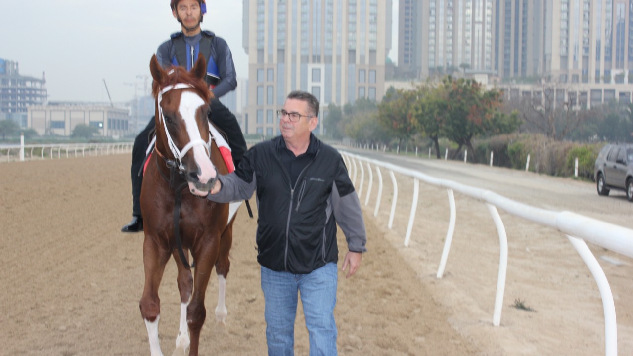 Watson's Star-Studded Stable Ready To Shine At Meydan Image 2