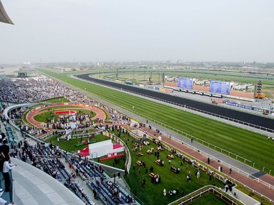 Old Favourites Set For Seasonal Bow At Meydan Image 1