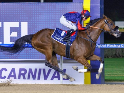 Dubawi Colt Rules Carnival Opening Night Image 1
