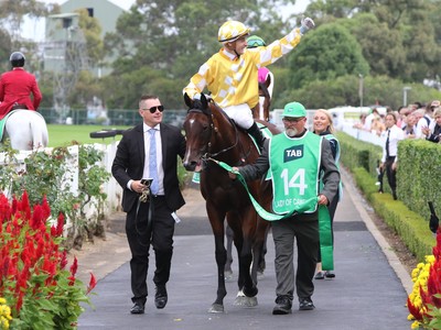 Shinn Back On Antino For Sha Tin Mission Image 1